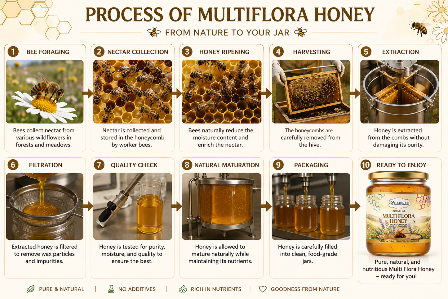 Multiflora Honey