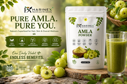 Amla Powder