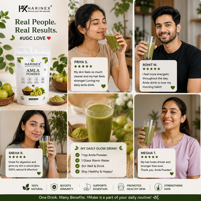 Amla Powder